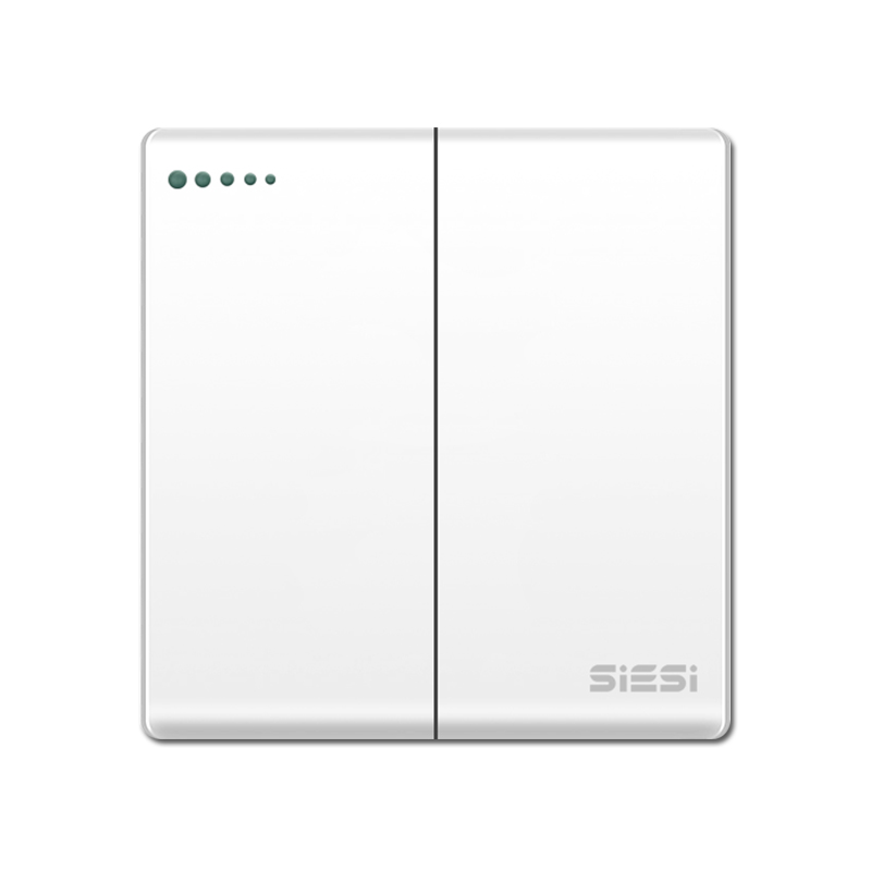 10A 二位單/雙控開關(guān)